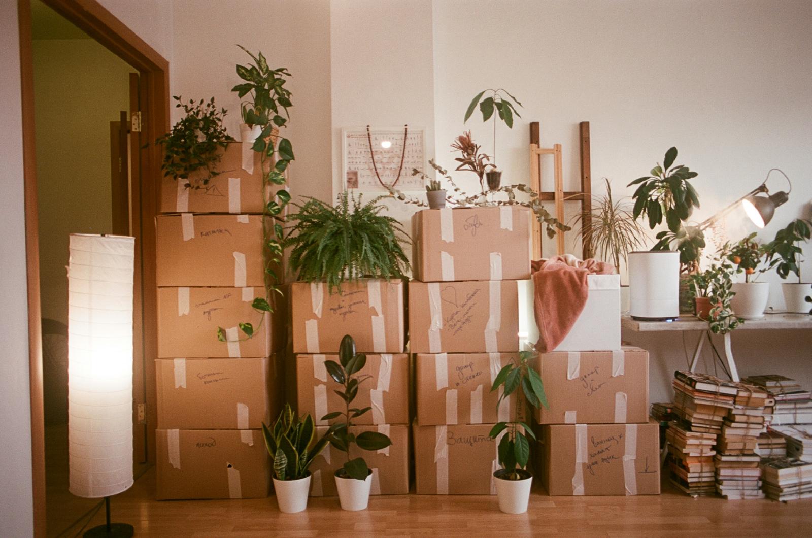 WooCommerce to Shopify Migration: What Actually Breaks