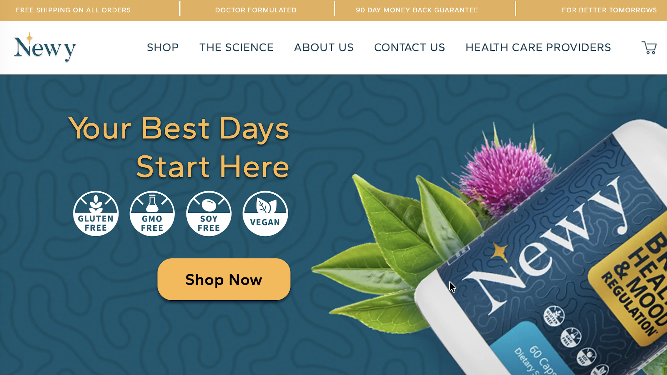 Newy — project screenshot